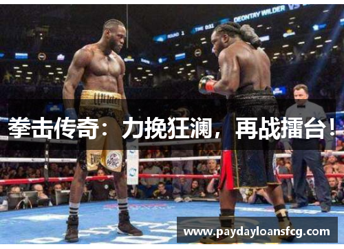 拳击传奇：力挽狂澜，再战擂台！